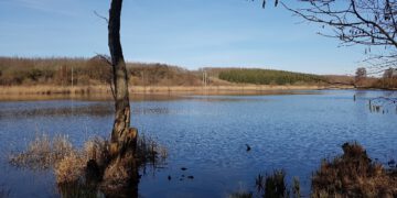 Erarbeitung von Managementplänen für FFH-Gebiete im Naturpark Uckermärkische Seen